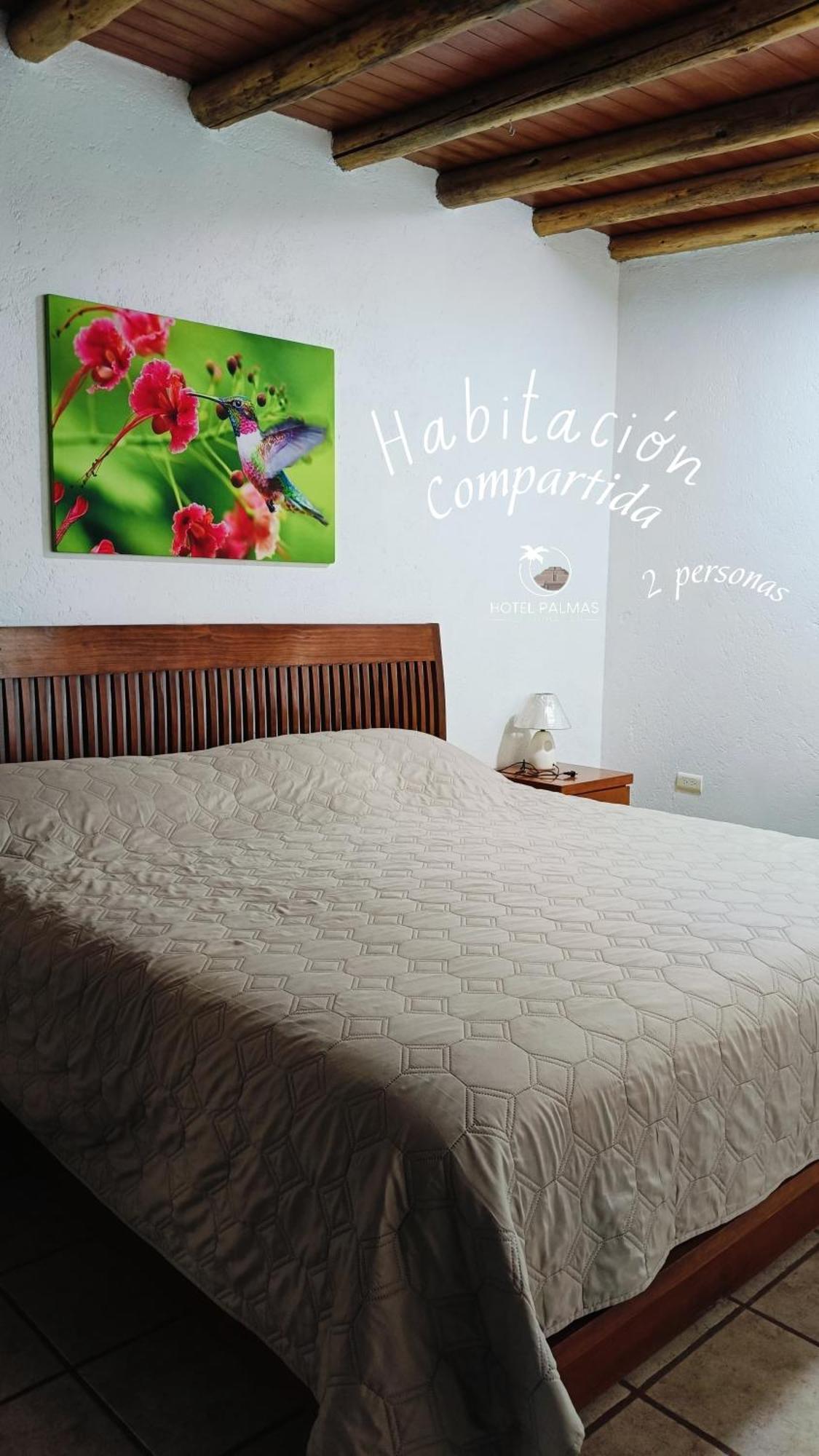 Hotel Palmas Teotihuacan ซาน ฮวน ตีโอตีฮัวคัน ภายนอก รูปภาพ